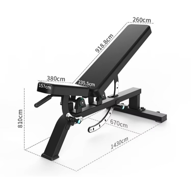 Equipo de Gimnasio: Banco de P - Adjustable Dumbbells reseña y precio