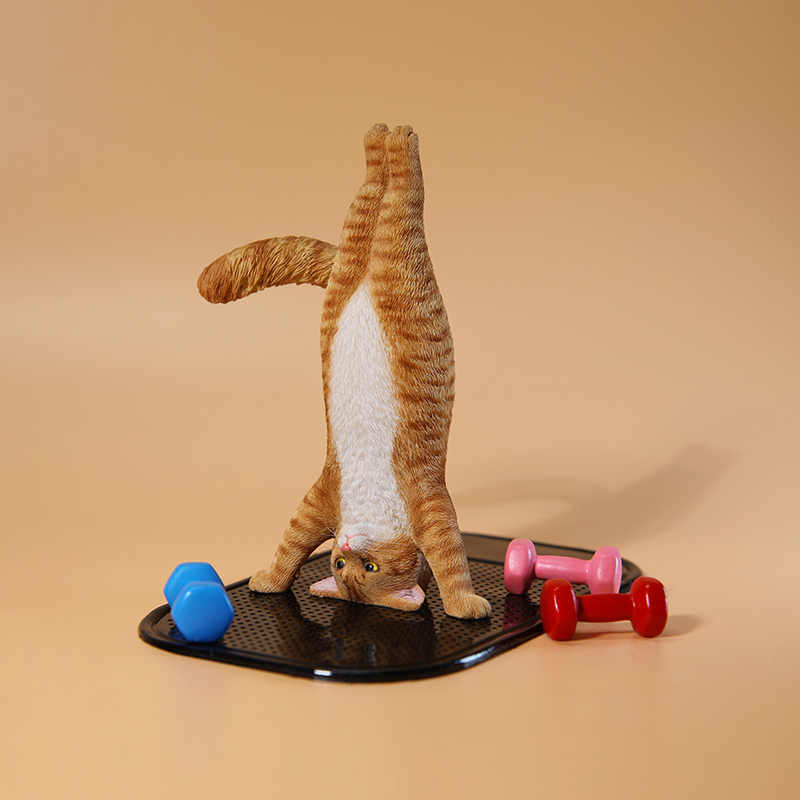Mini gato de Fitness simulado  - Yoga Fitness Tva reseña y precio