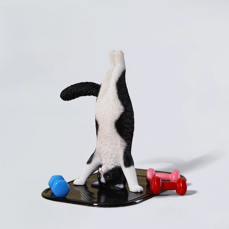 Mini gato de Fitness simulado  - Yoga Fitness Tva reseña y precio