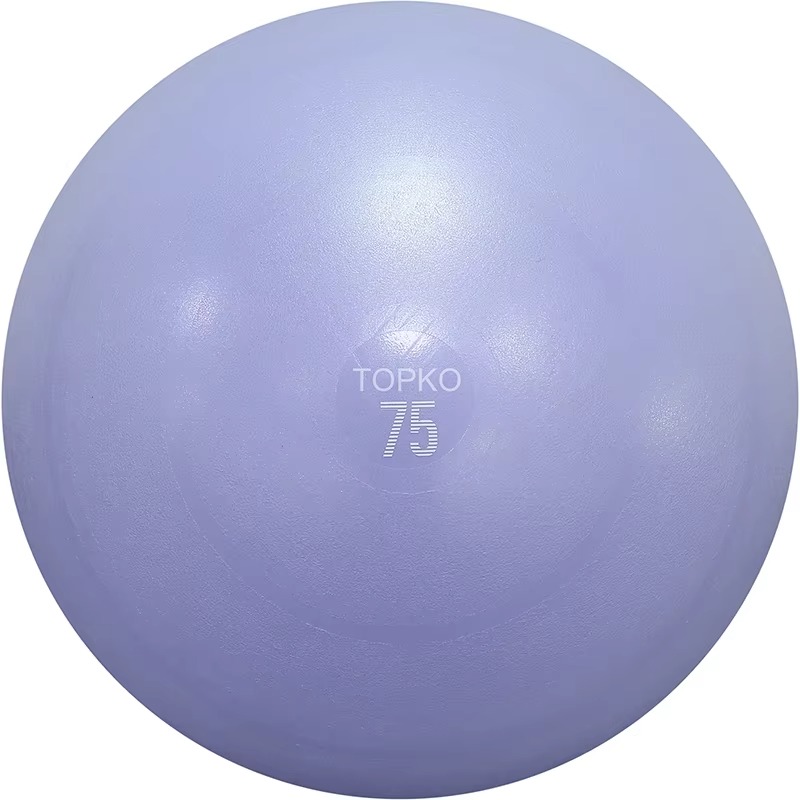 YTYIN TOPKO Pelota de ejercici - Exercise Ball Stability reseña y precio