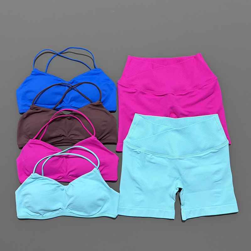 Conjunto de gimnasio de visión - Yoga Fitness Top reseña y precio